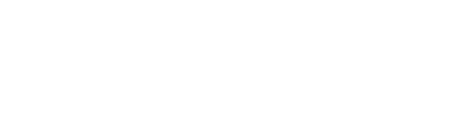 NVIDIA NVIDIA